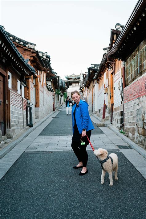 Complete Guide for Planning Your First Trip to Seoul, South Korea