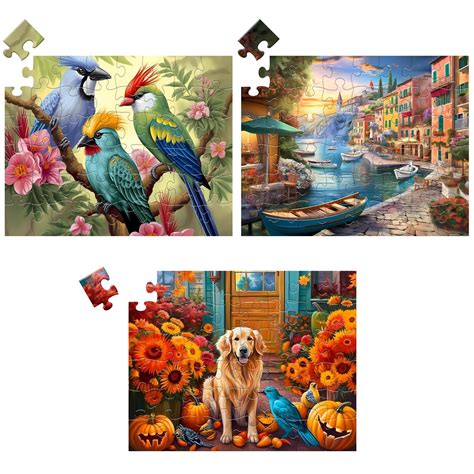 3 Pack 48 Piece Jigsaw Puzzle For Seniors Dementia Puzzles