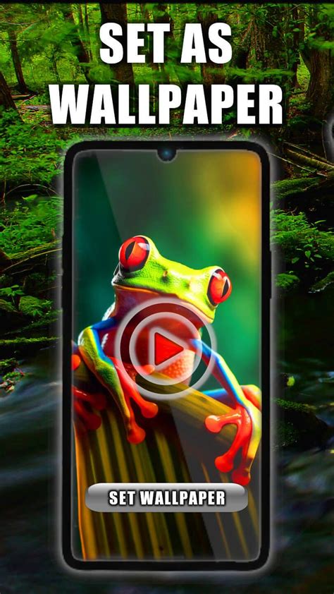 Frog Live Wallpaper APK for Android Download