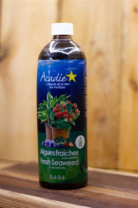 Engrais naturel algues fraîches Acadie 500 ml - Pépinière l'Ange-Gardien