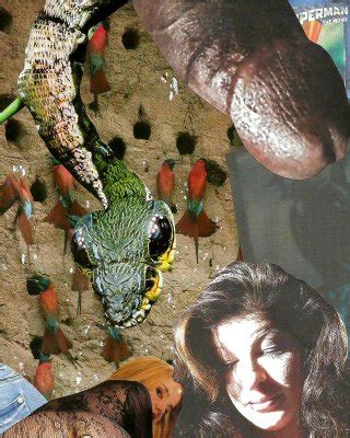 Trinity Maxx Nude Porn Pics Leaked XXX Sex Photos App Page 13 PICTOA