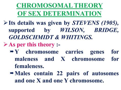 Sex Determination In Humans PPT