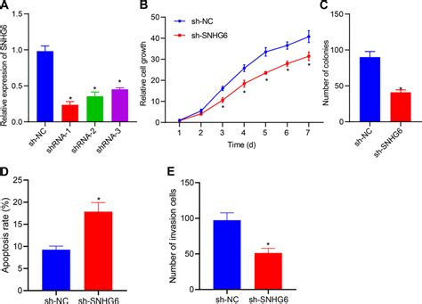 Downregulation Of SNHG6 Suppresses The Proliferation Of HCC Cell