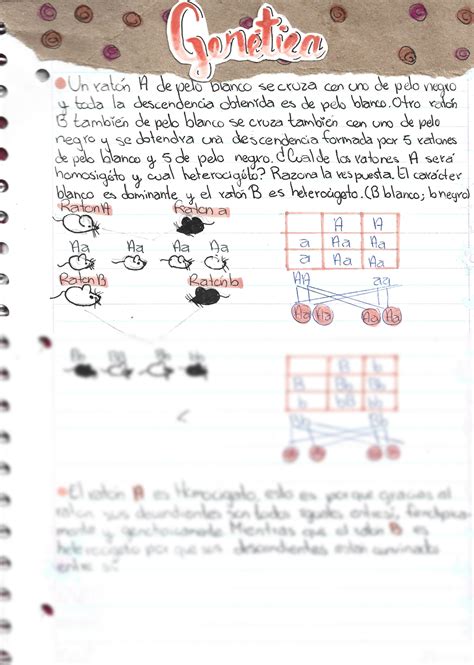 Solution Gen Tica Studypool