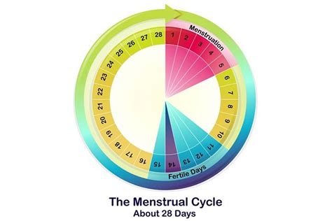 मासिक धर्म की परिभाषा लक्षण दर्द से राहत और उपचार Menstrual Period Meaning In Hindi