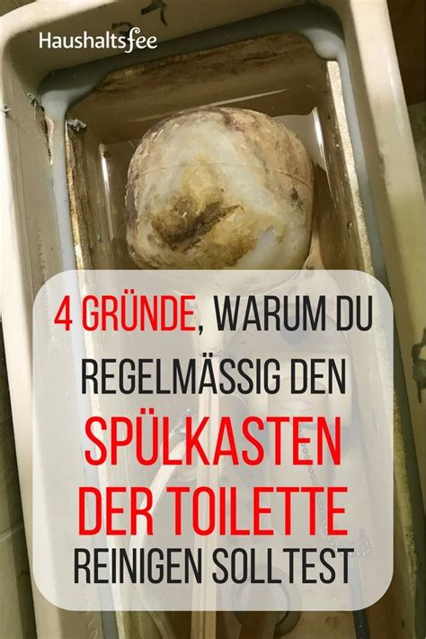 Toilette Reinigen Hausmittel Gegen Kalk Und Urinstein Sp Lkasten