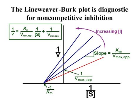 Uncompetitive Inhibition Michaelis Menten Plot