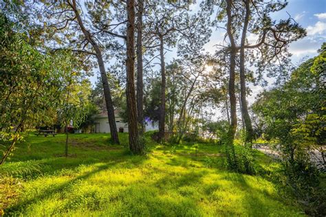 peaceful natural environment in the forest 17166958 Stock Photo at Vecteezy