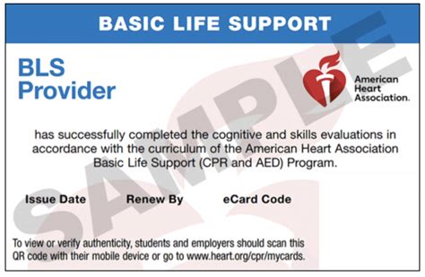 Cpr Bls Class Los Angeles Aha Authorized Same Day Cards