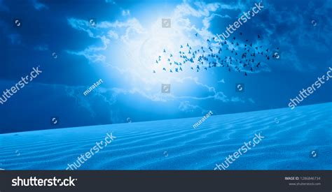 Silhouette Birds Night Sky Blue Moon Stock Photo 1286846734 Shutterstock