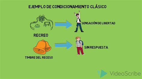 Ejemplos De Conductismo En Educaci N Psicolog A Y Marketing