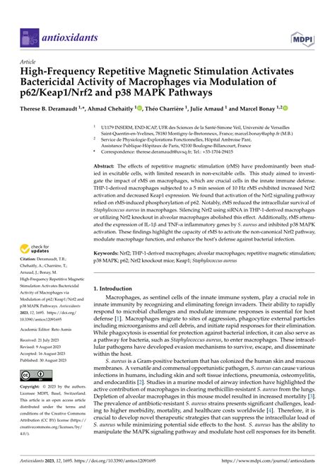 Pdf High Frequency Repetitive Magnetic Stimulation Activates