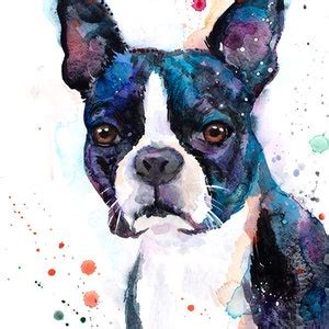 Boston Terrier Watercolor Painting Print by Slaveika Aladjova, Animal ...