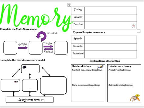 Aqa Psychology Memory Knowledge Organiser Teaching Resources