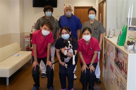 美里動物病院｜犬・猫の健康診断を推進｜teamhope 動物病院リレー紹介