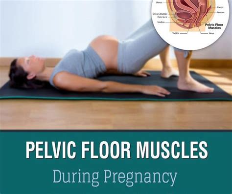 Prenatal Exercises For Pelvic Floor Fabmoms