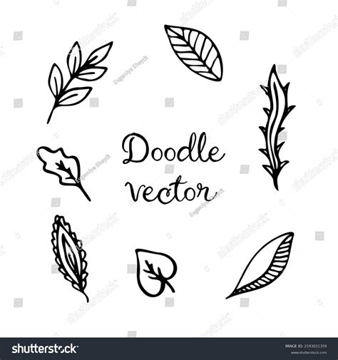 Vector Doodle Leaves Set Black Silhouette เวกเตอร์สต็อก ปลอดค่า