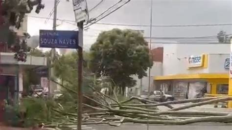 Em Cianorte temporal derruba árvores e deixa imóveis sem energia VÍDEO