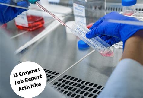 Enzymes Lab Report Activities Teaching Expertise