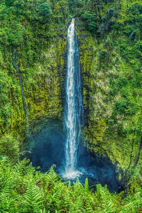 Akaka Falls Wayne Budge Photography