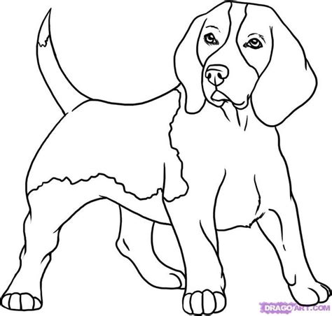 Beagle Dog Coloring Pages - Beagle Png Beagle Hound Beagle Drawing Beagle Silhouette Beagle ...