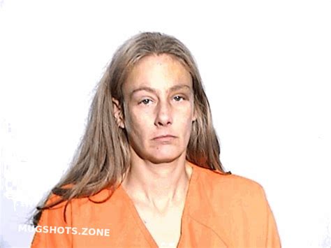 Swincicki Catherine Ann Lucas County Mugshots Zone