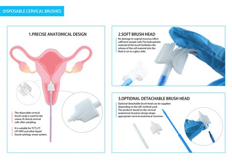 Medical Consumables Pap Smear Brush Technique Cervical Brush Buy