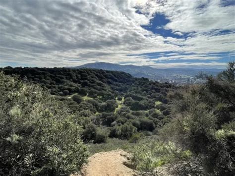 10 Best Hikes and Trails in Fort Ord National Monument | AllTrails