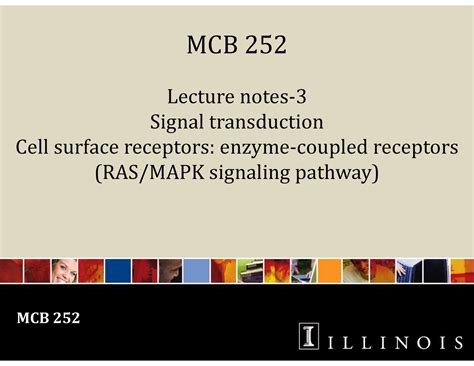 MCB Lecture 3 Notes MCB 252 MCB 252 Lecture Notes Signal