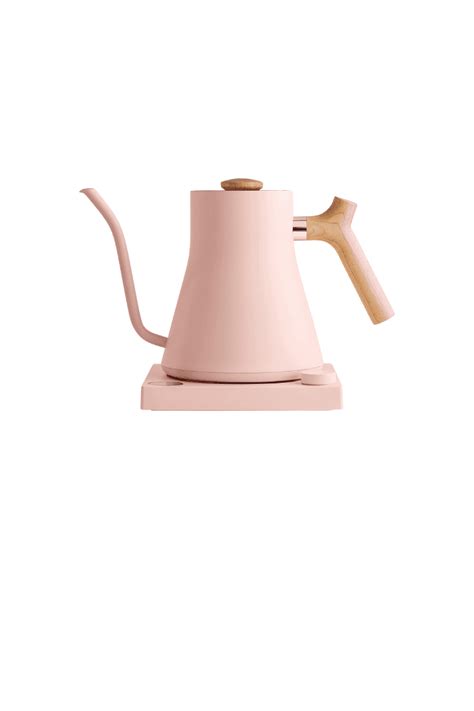 Fellow Stagg Ekg Electric Gooseneck Kettle Arinsolangeathome