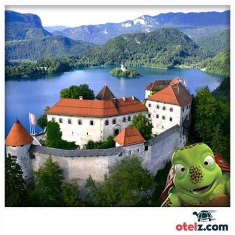 Kaplumbağamız bu hafta Slovenya nın büyülü şehri Bled de Lake bled