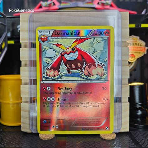 Darmanitan Reverse Holo 25 114 Black White 1 Base Set Pokémon TCG