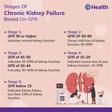 How To Calculate Egfr From Gfr At Angel Tim Blog