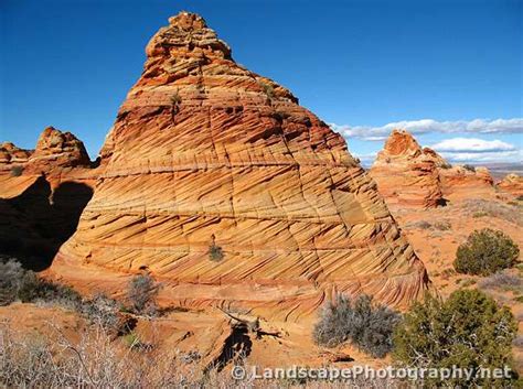 South Coyote Buttes Cottonwood Cove