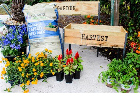 DIY Raised Garden Boxes with Organic Soil - Within the Grove