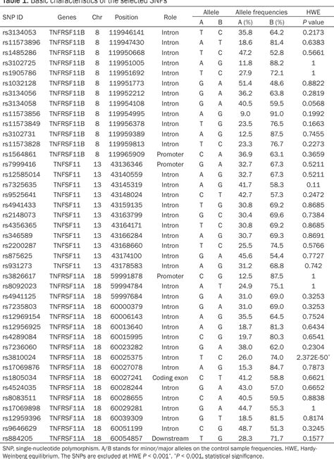 Table From Polymorphisms Of Genes In The Opg Rankl Rank Pathway In