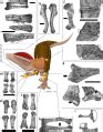 Category:Theropoda fossils with life restorations - Wikimedia Commons