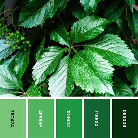 30 Cool Color Palettes for Calming Designs | Color Meanings