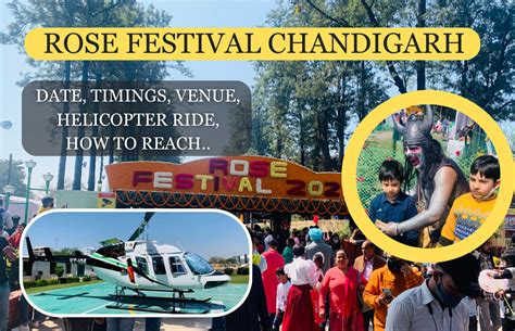 Rose Festival Chandigarh 2024: Date, Timings, Venue, Activities