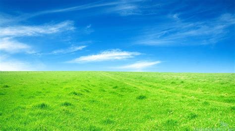 Grassland Wallpapers - Top Free Grassland Backgrounds - WallpaperAccess