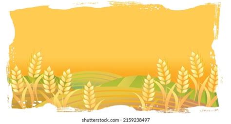 Golden Wheat Illustration Graphic Background Stock Vector (Royalty Free ...