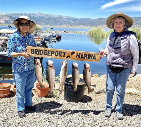 Bridgeport Reservoir Fish Report - Bridgeport, CA (Mono County)