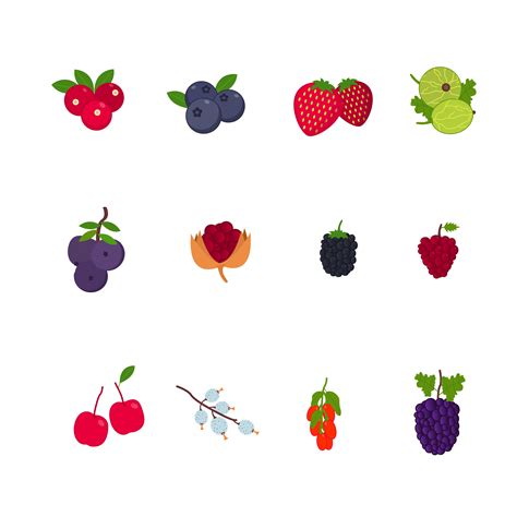 Berry Fruits Vectors 167323 Vector Art At Vecteezy