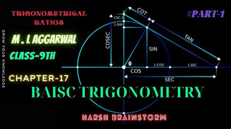 M L AGGARWAL TRIGONOMETRICAL RATIO CHAPTER 17 CLASS 9th ICSE