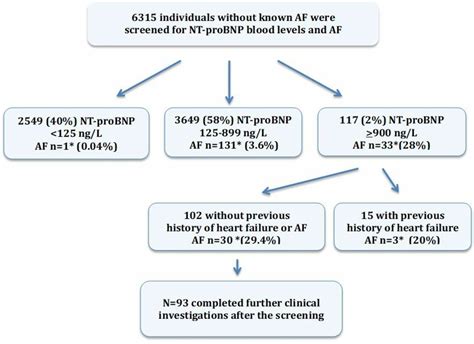 Clinical And Echocardiographic Characteristics Of Individuals Aged 75 76 Years Old With