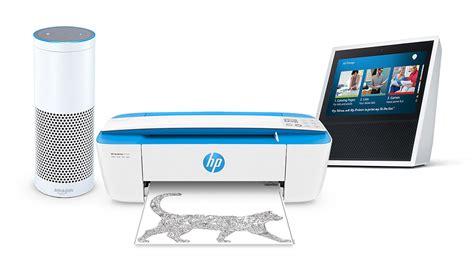 Best Wireless Printers Of 2022 | TechRadar