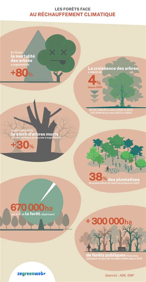 Infographie Les forêts face au réchauffement climatique