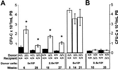 Posttransplantation Increase In Circulating Progenitors Is Seen Only