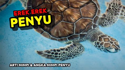 EREK EREK PENYU 2D 3D 4D ARTI MIMPI TENTANG PENYU YouTube