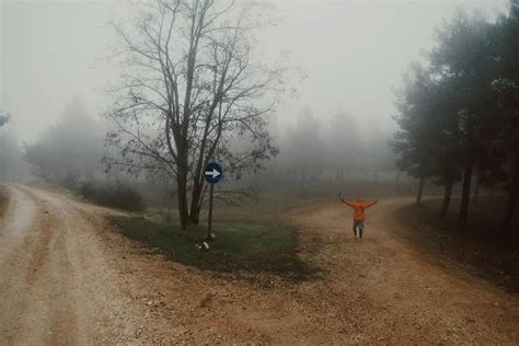 Foggy Road · Free Stock Photo